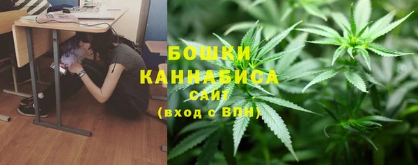 ГАЛЛЮЦИНОГЕННЫЕ ГРИБЫ Верхнеуральск