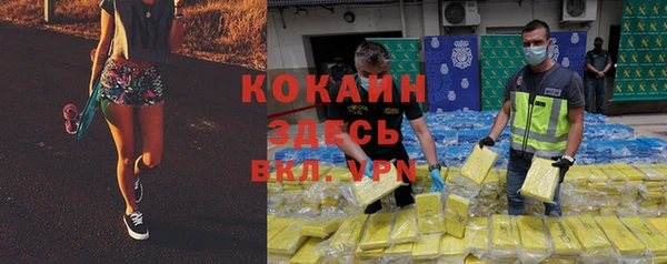 твердый Володарск