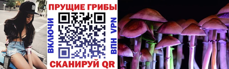 даркнет какой сайт  Дубовка  Галлюциногенные грибы ЛСД  где купить  